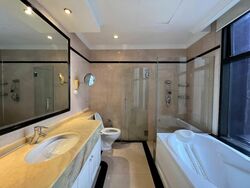 Four Seasons Park (D10), Condominium #559136051